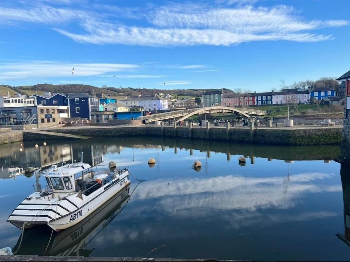 Nant Meigan, Georgian Townhouse In Centre Of Aberaeron, Dog Friendly Dış mekan fotoğraf